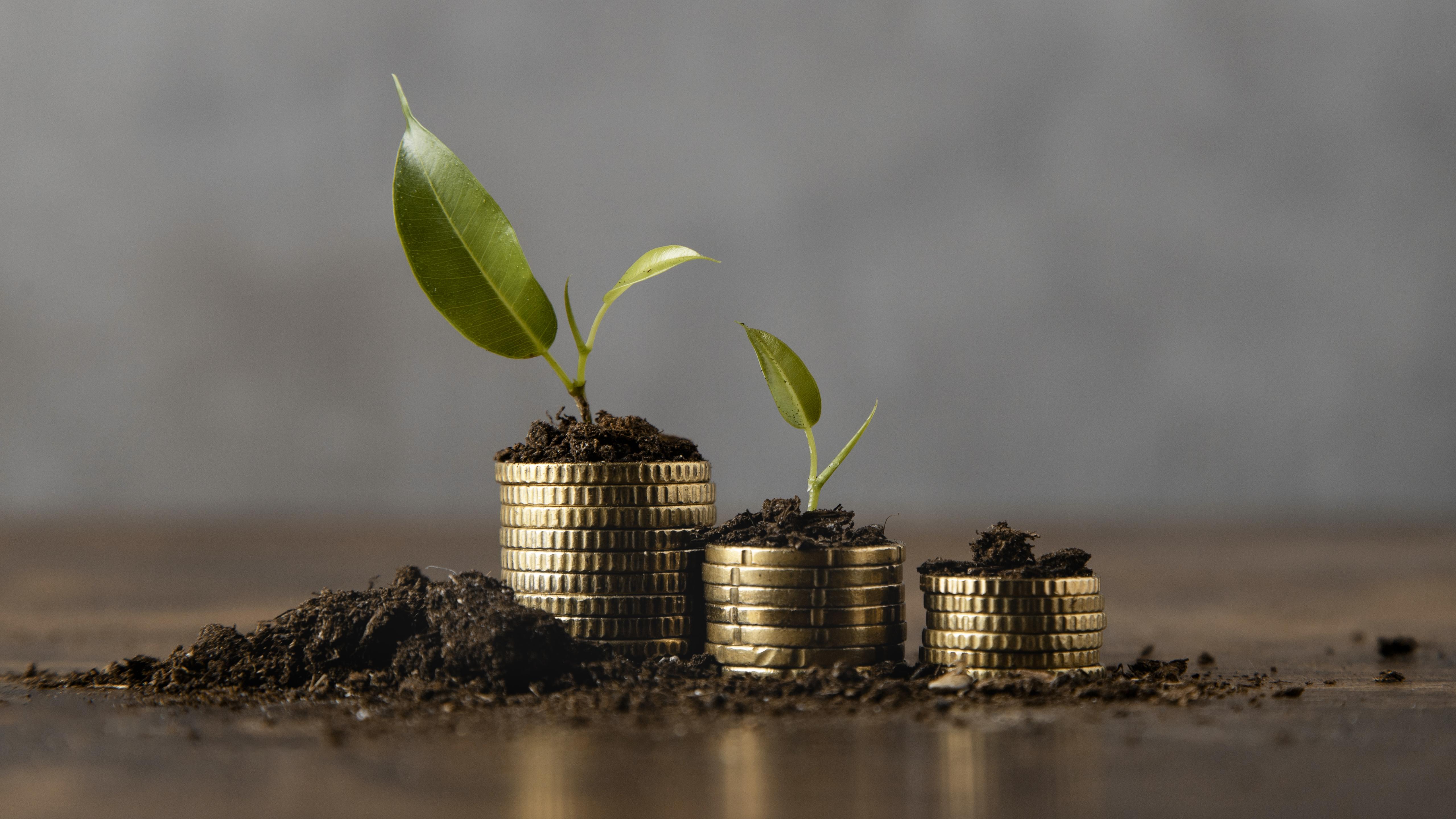 stacked-coins-with-dirt-plant stacked-coins-with-dirt-plant